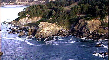 homes for sale in humboldt california
